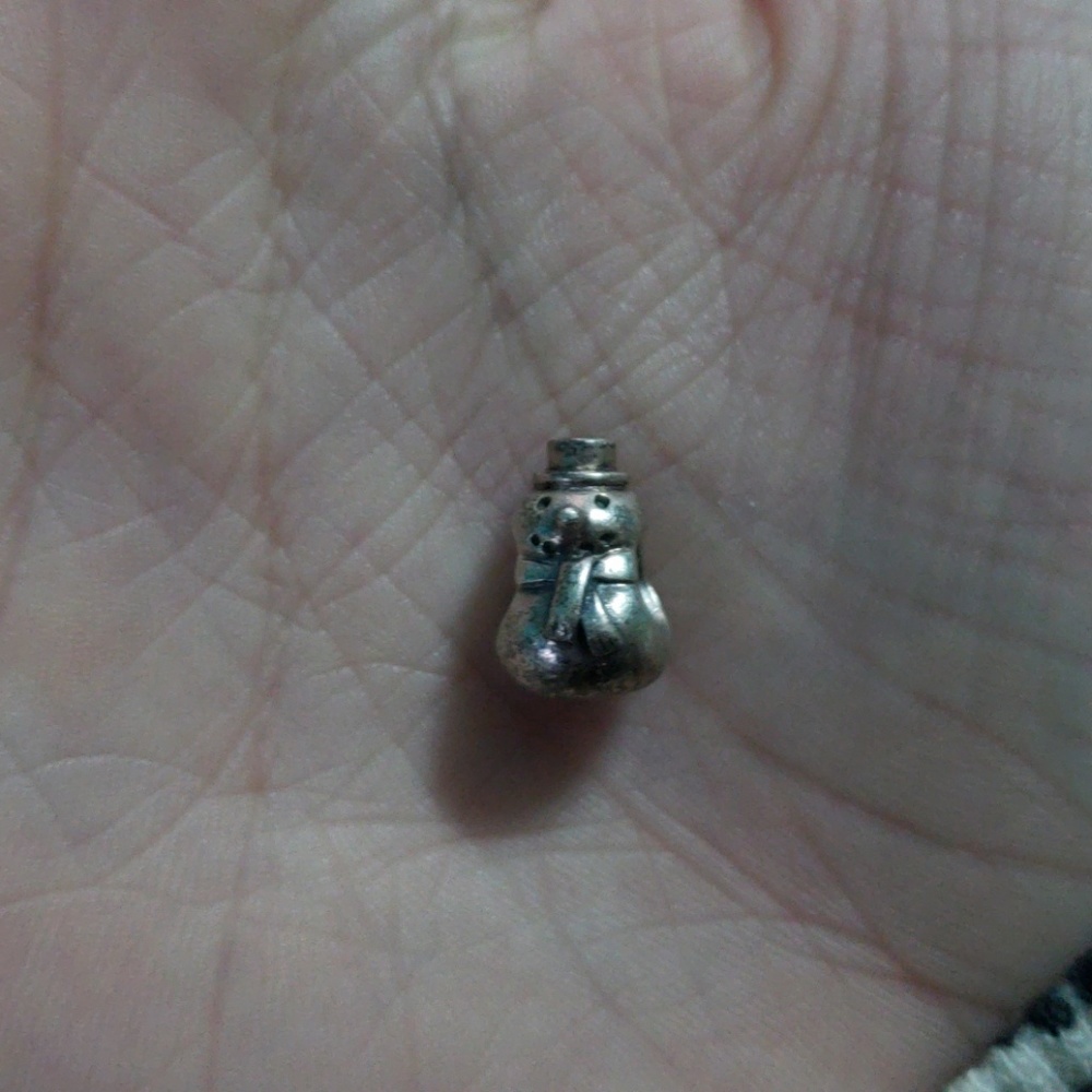 Pandora charm